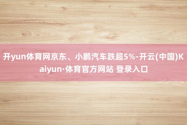 开yun体育网京东、小鹏汽车跌超5%-开云(中国)Kaiyun·体育官方网站 登录入口